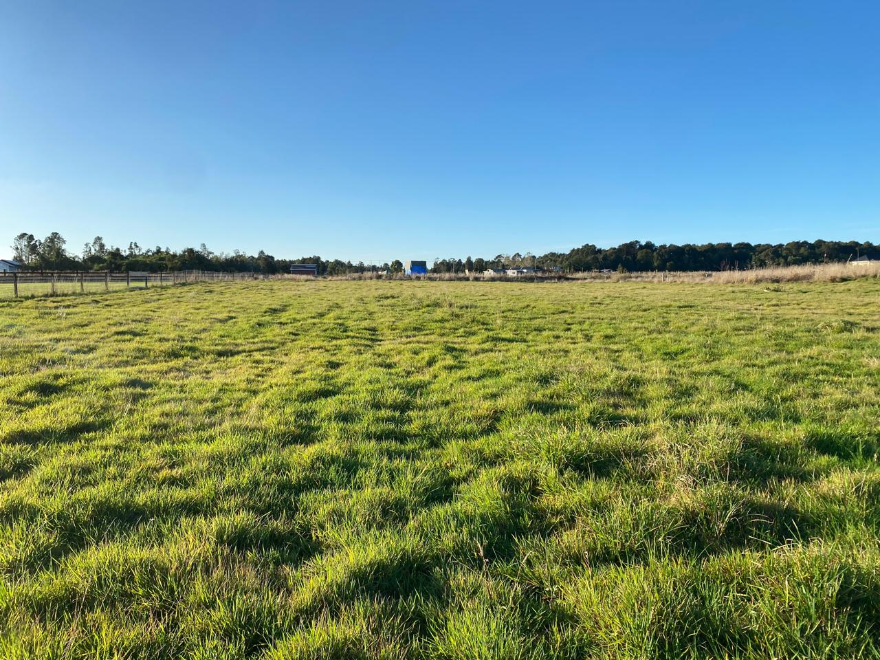 WhatsApp Image 2025-09-24 at 1.02.43 PM (1)