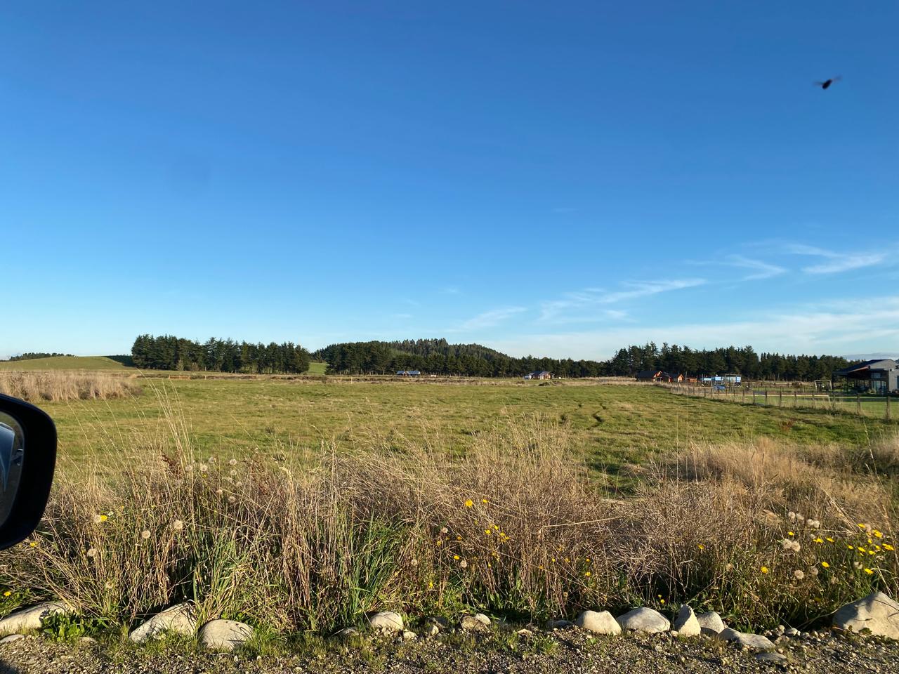 WhatsApp Image 2025-09-24 at 1.02.45 PM (1)