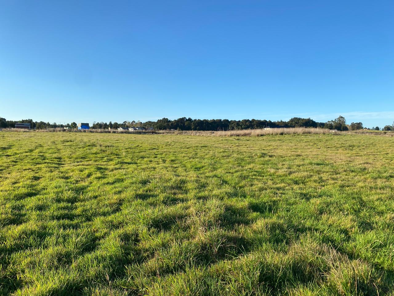 WhatsApp Image 2025-09-24 at 1.02.45 PM