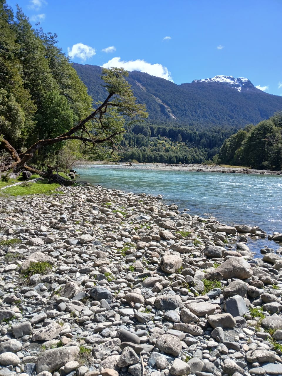 WhatsApp Image 2025-10-25 at 5.06.02 PM (1)