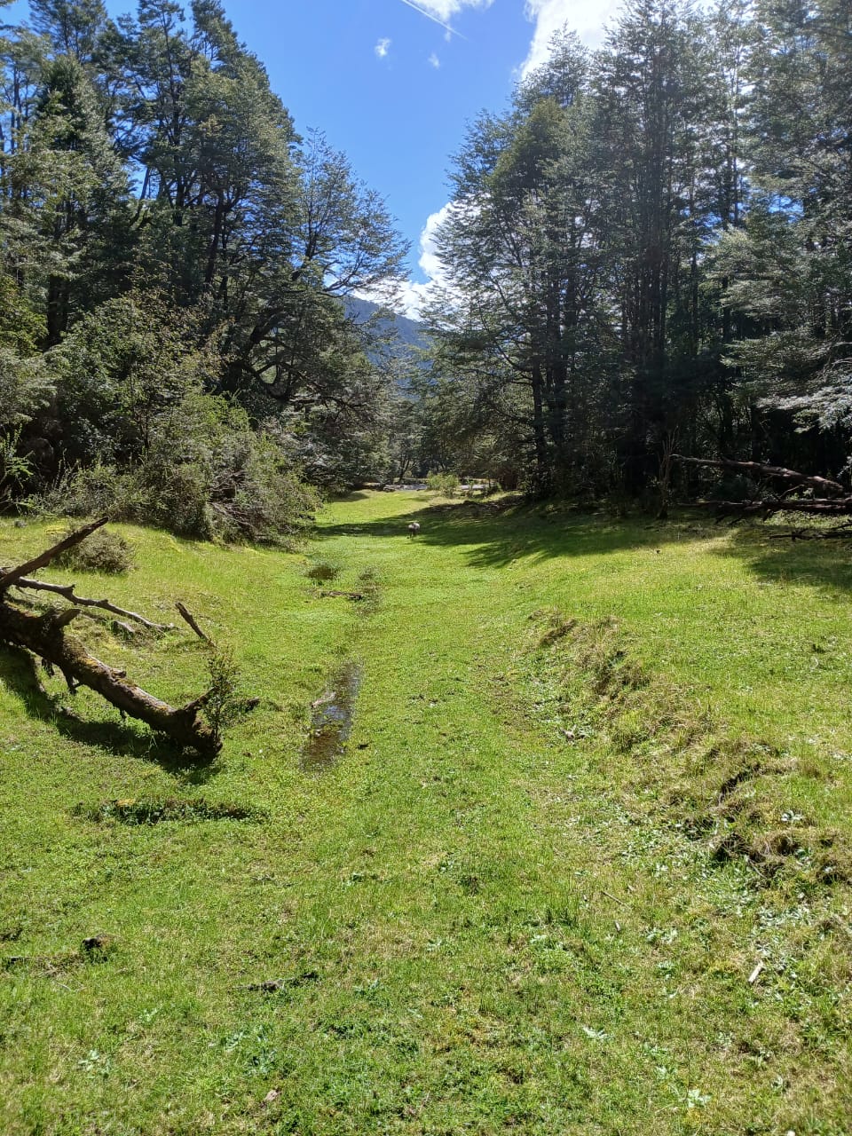 WhatsApp Image 2025-10-25 at 5.06.03 PM (1)