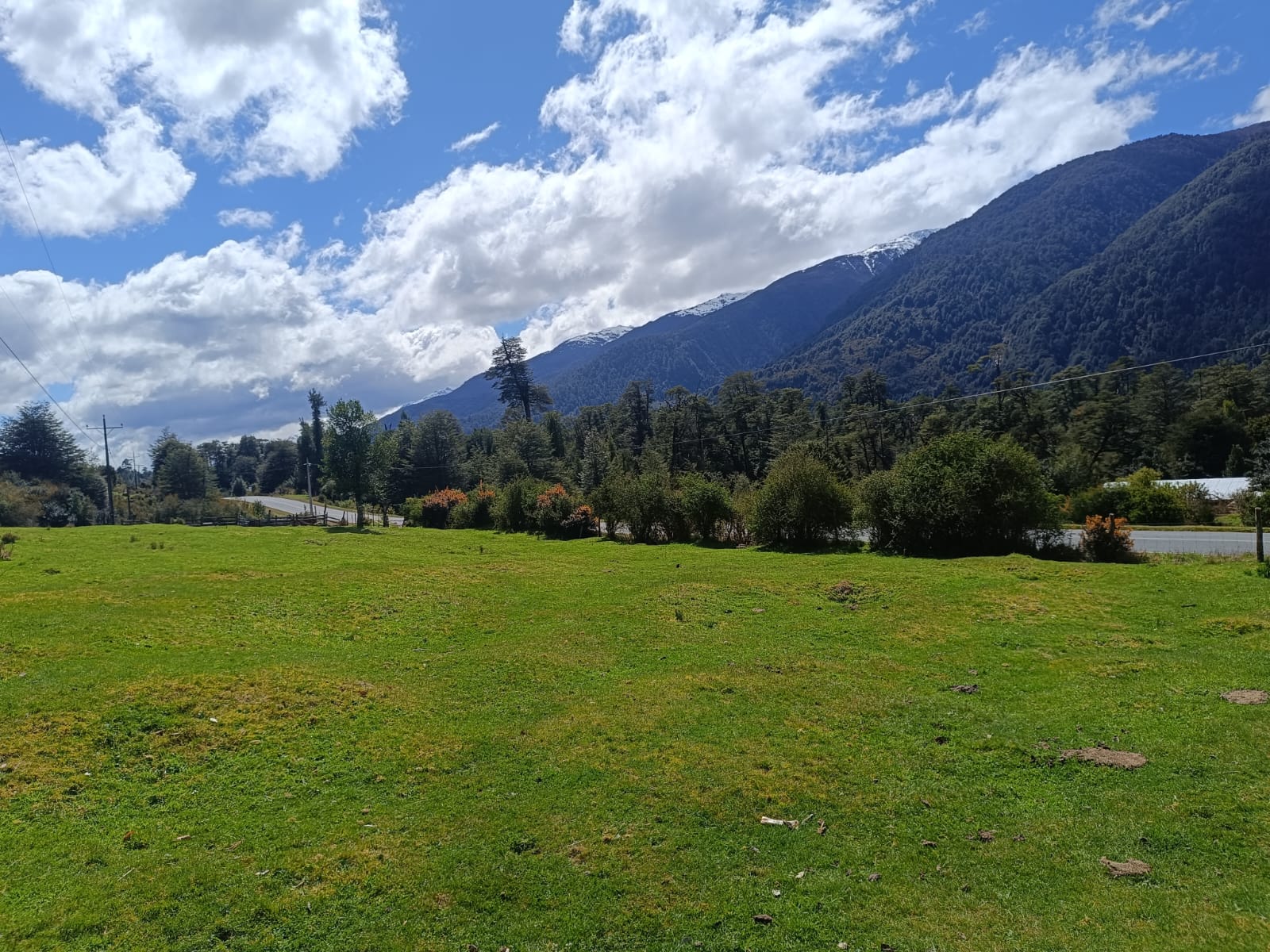 WhatsApp Image 2025-10-25 at 5.06.06 PM