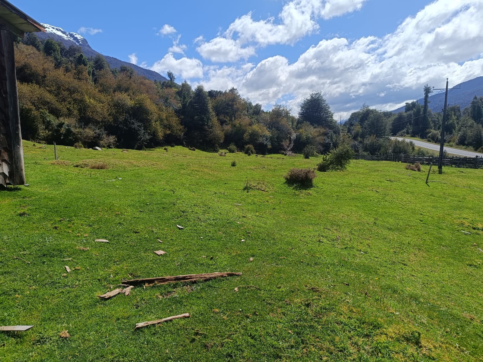 WhatsApp Image 2025-10-25 at 5.06.07 PM