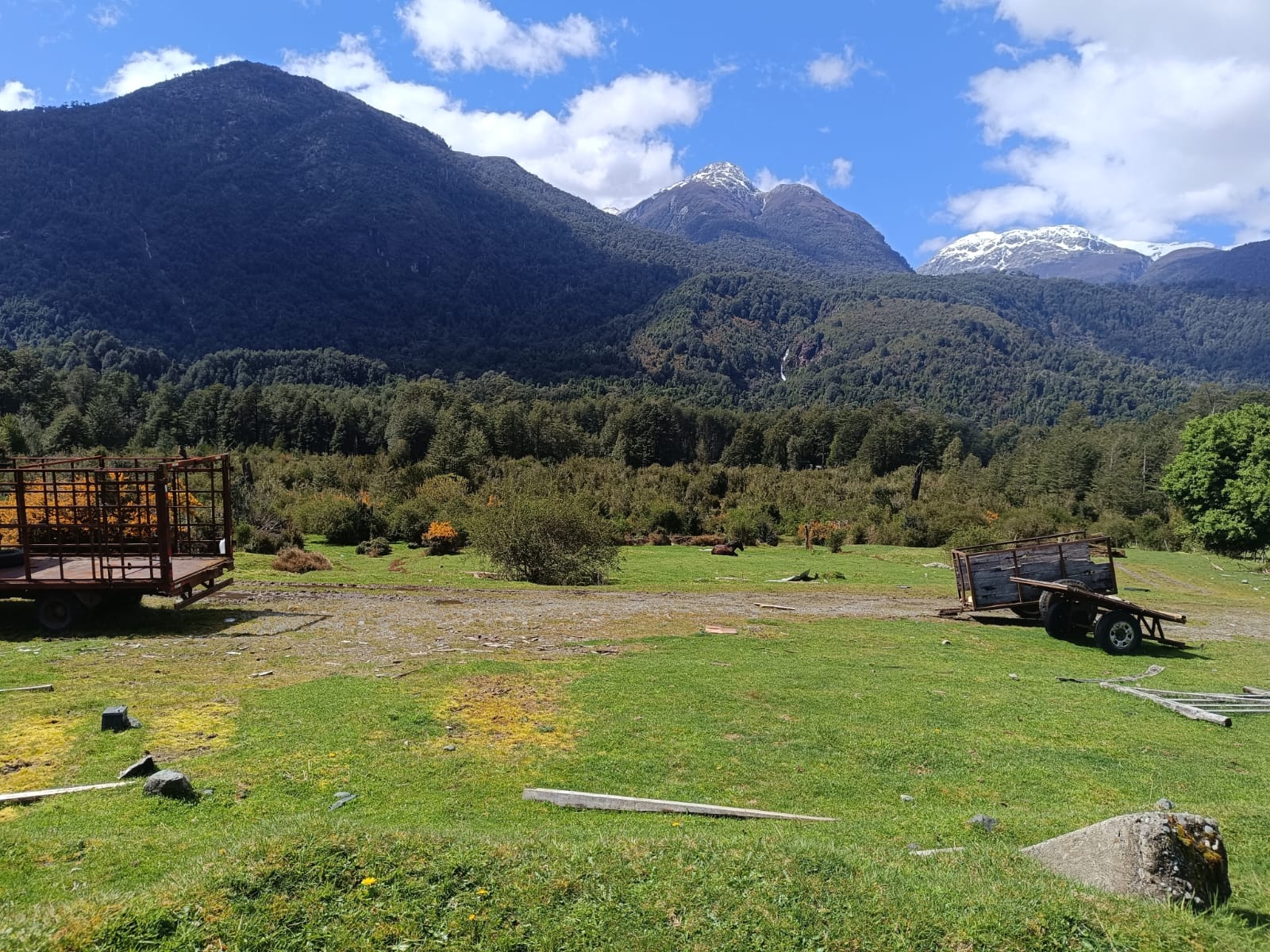 WhatsApp Image 2025-10-25 at 5.06.08 PM (1)