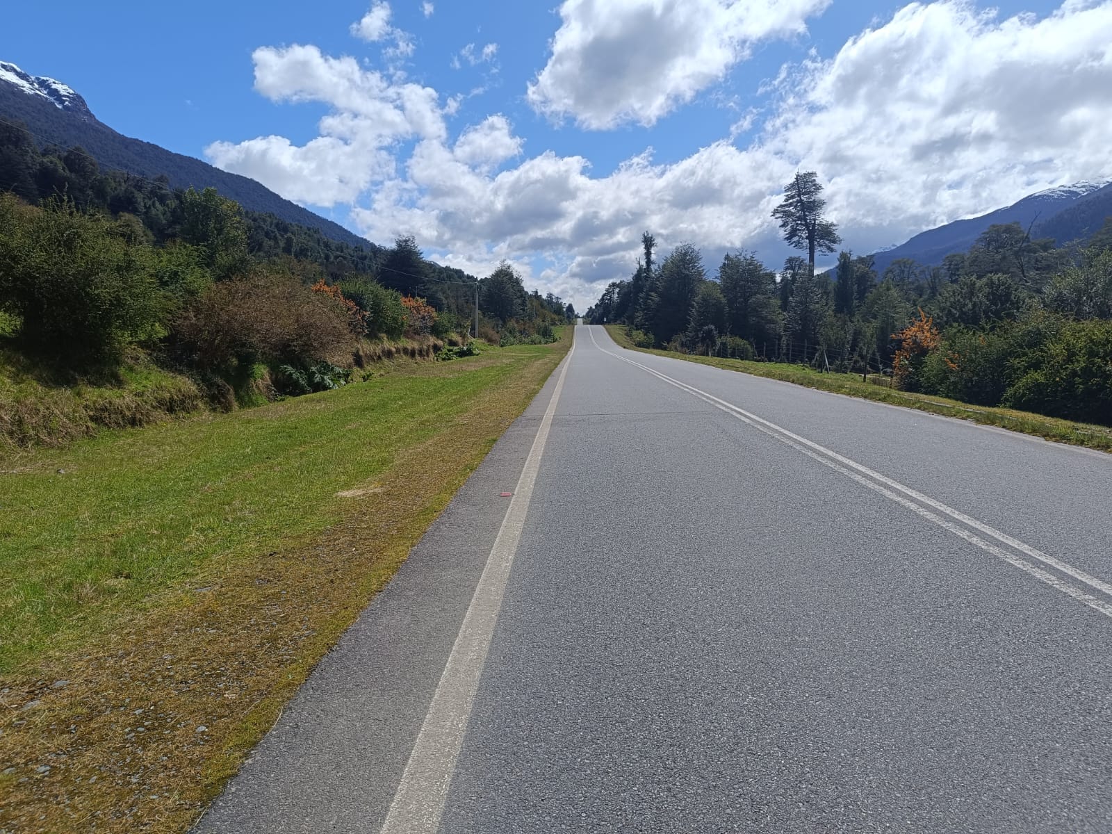 WhatsApp Image 2025-10-25 at 5.06.09 PM