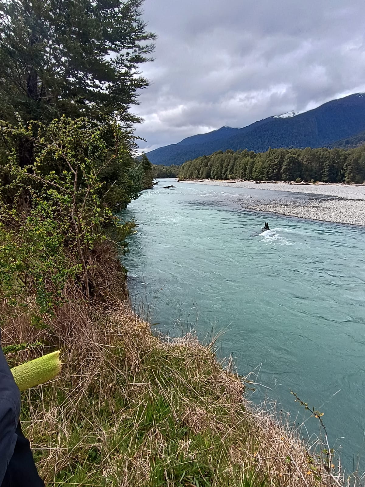 WhatsApp Image 2025-10-25 at 5.06.10 PM