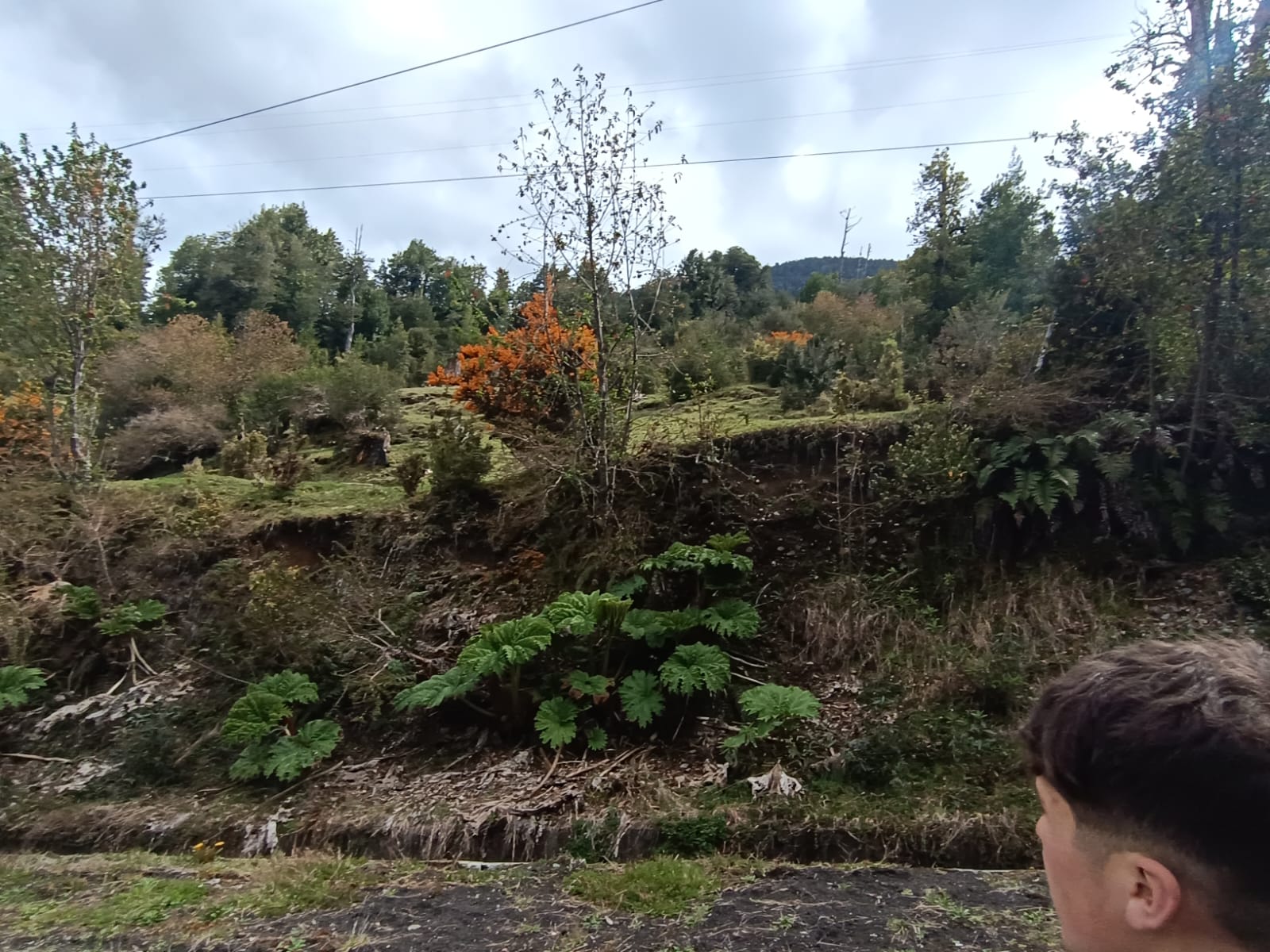 WhatsApp Image 2025-10-25 at 5.06.12 PM