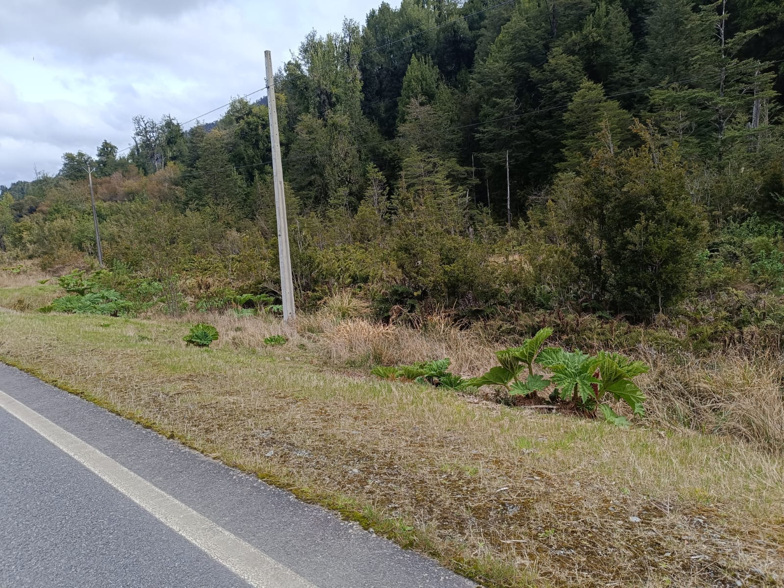 WhatsApp Image 2025-10-25 at 5.06.13 PM (1)