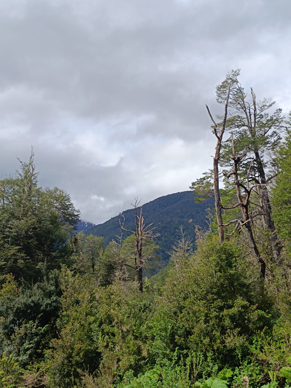 WhatsApp Image 2025-10-25 at 5.06.20 PM