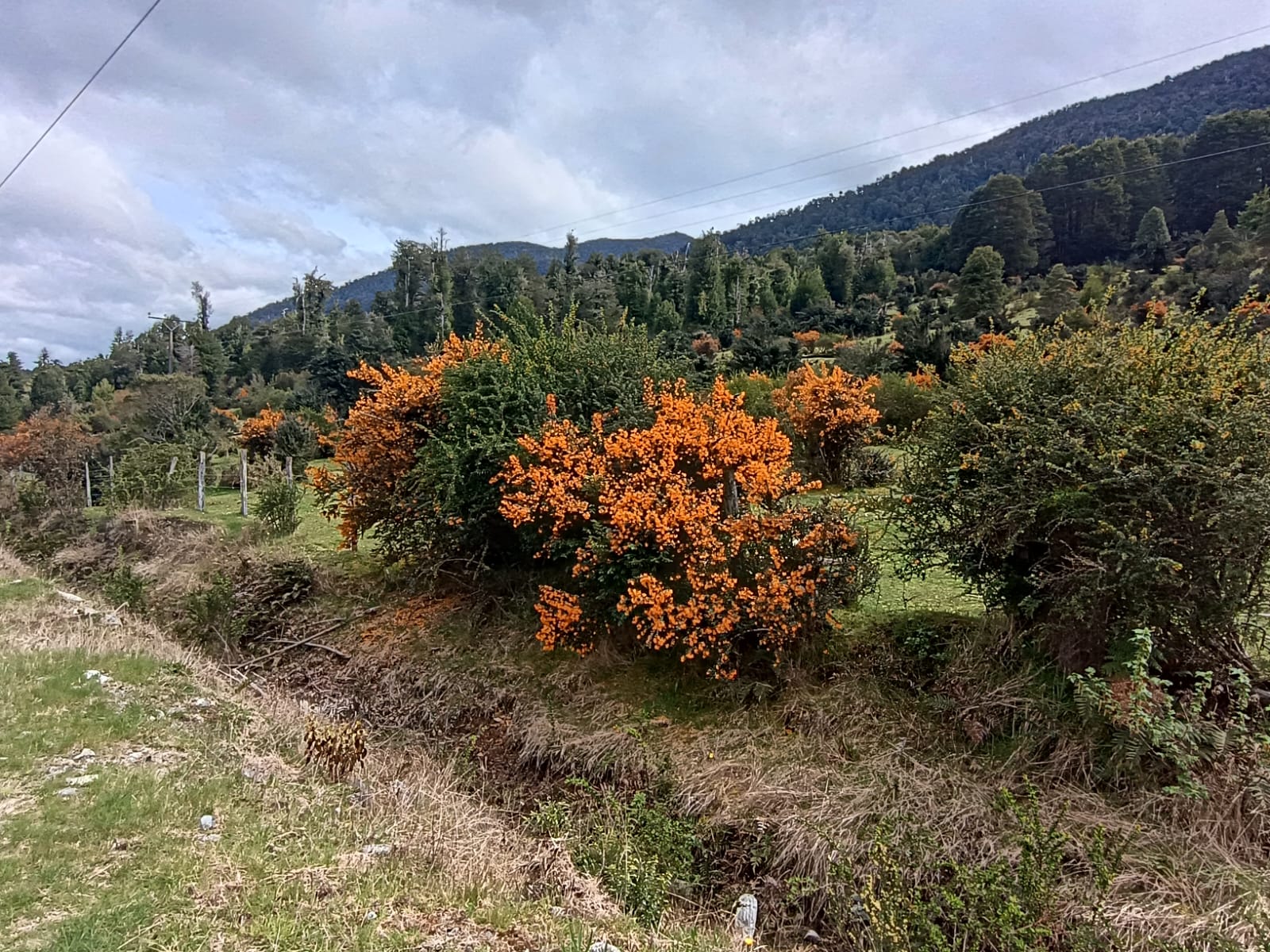 WhatsApp Image 2025-10-25 at 5.06.22 PM