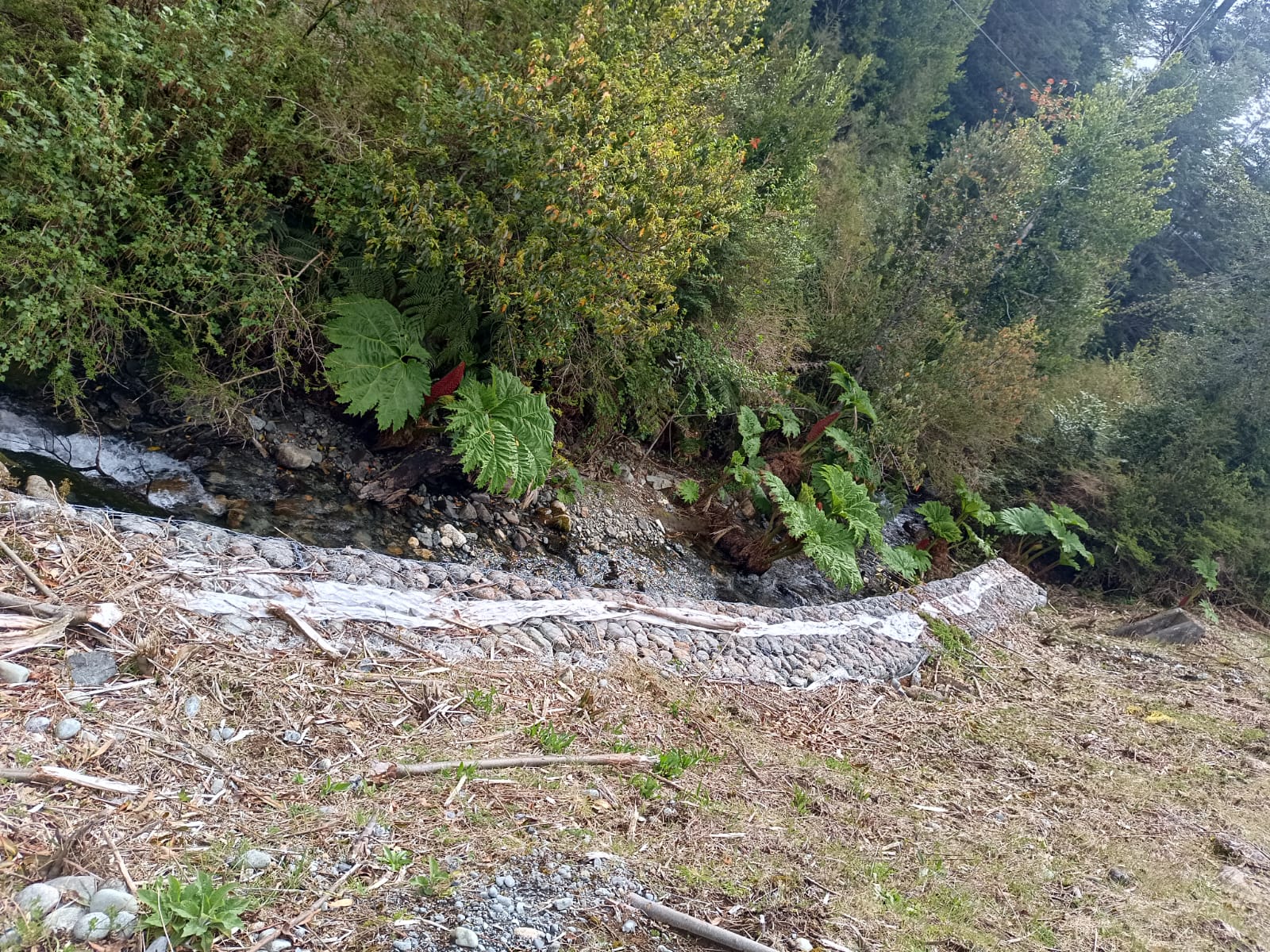 WhatsApp Image 2025-10-25 at 5.06.23 PM (2)