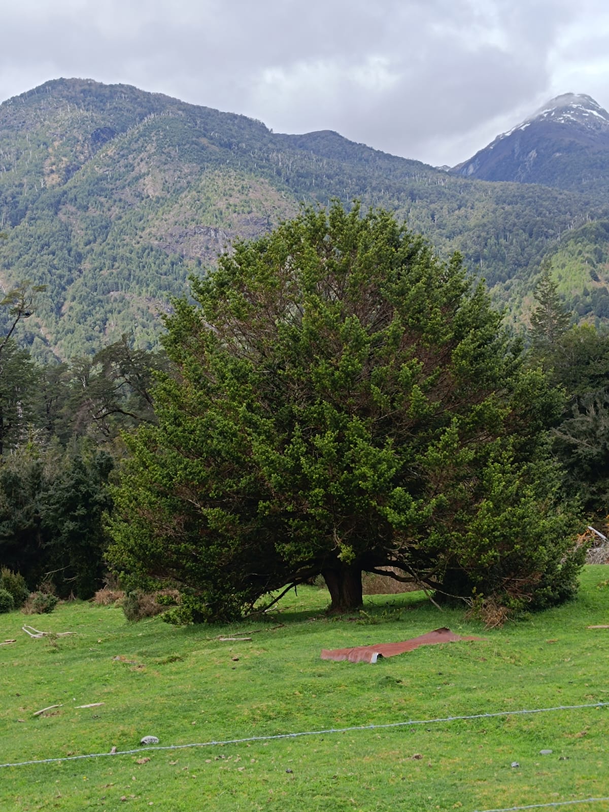 WhatsApp Image 2025-10-25 at 5.06.26 PM