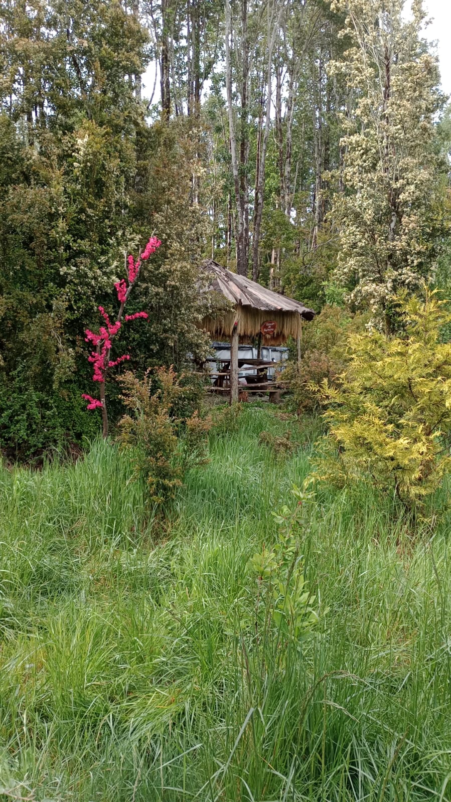 WhatsApp Image 2025-12-01 at 1.02.32 PM