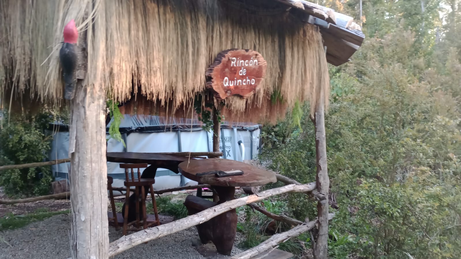 WhatsApp Image 2025-12-01 at 1.02.33 PM (1)