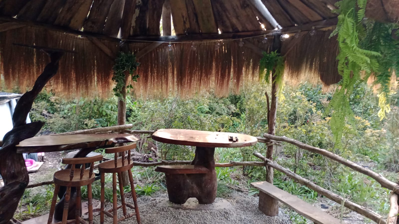 WhatsApp Image 2025-12-01 at 1.02.33 PM