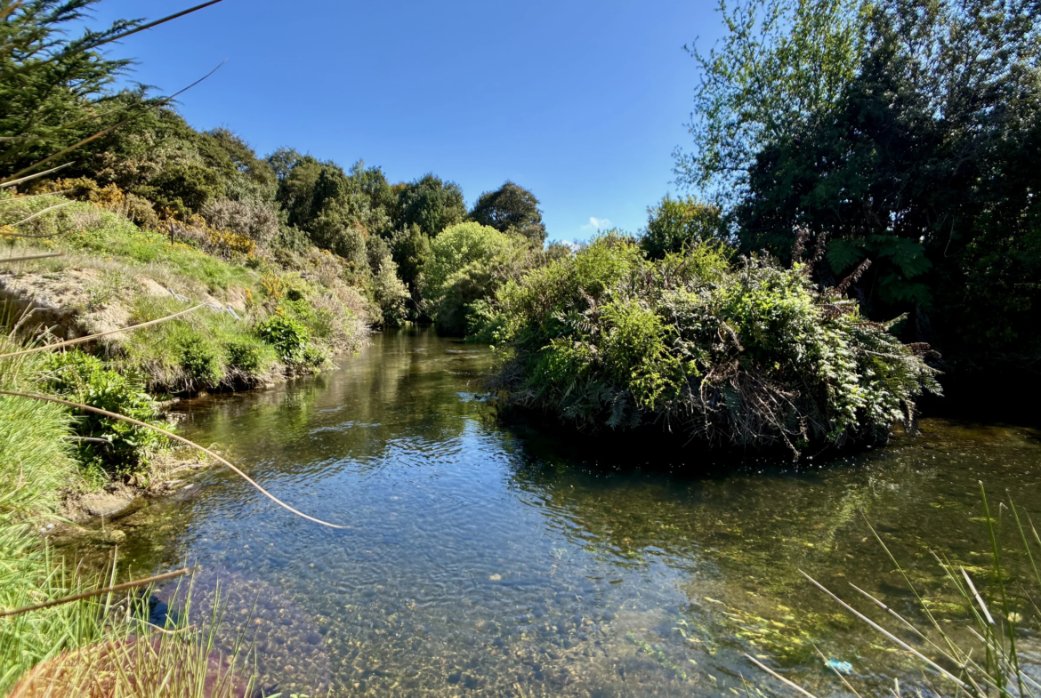 Parcela de 5.435 m² con bosque nativo en Los Troncos Milenarios, La Vara, Puerto Montt – foto 7
