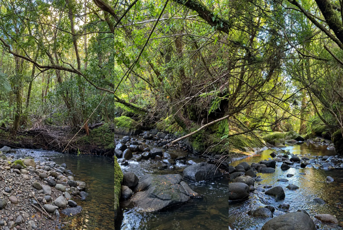 Estero con lecho de piedras y bosque nativo dentro de la parcela de 2,55 ha en Metri