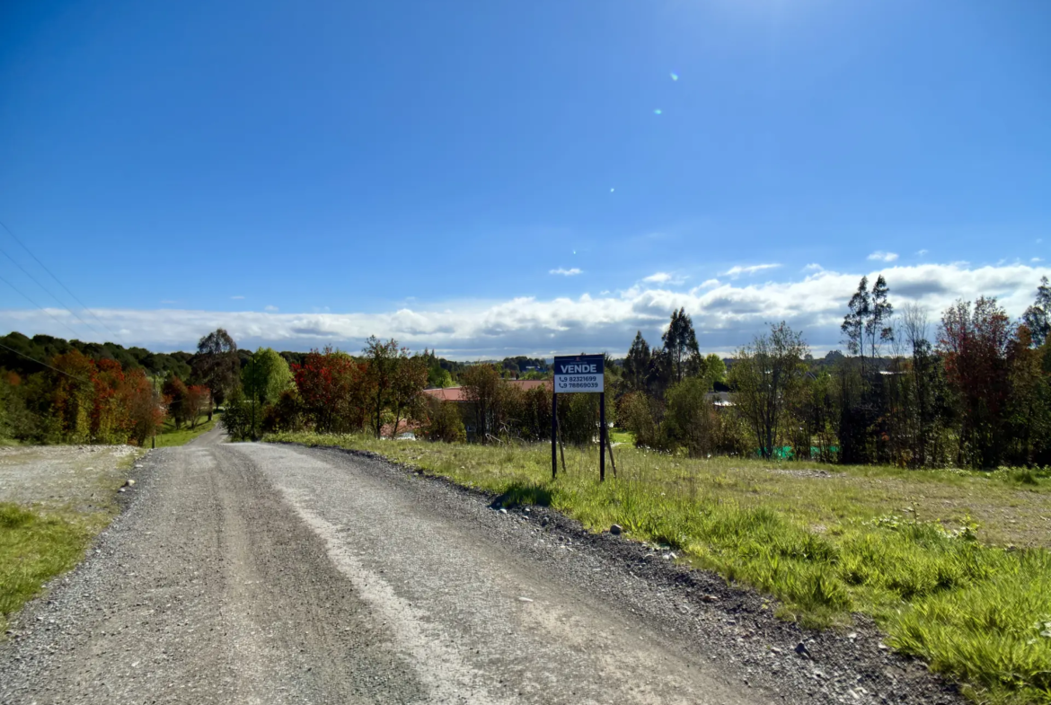 Parcela limpia de 5.225 m² junto al acceso de Los Troncos Milenarios, La Vara, Puerto Montt – foto 6