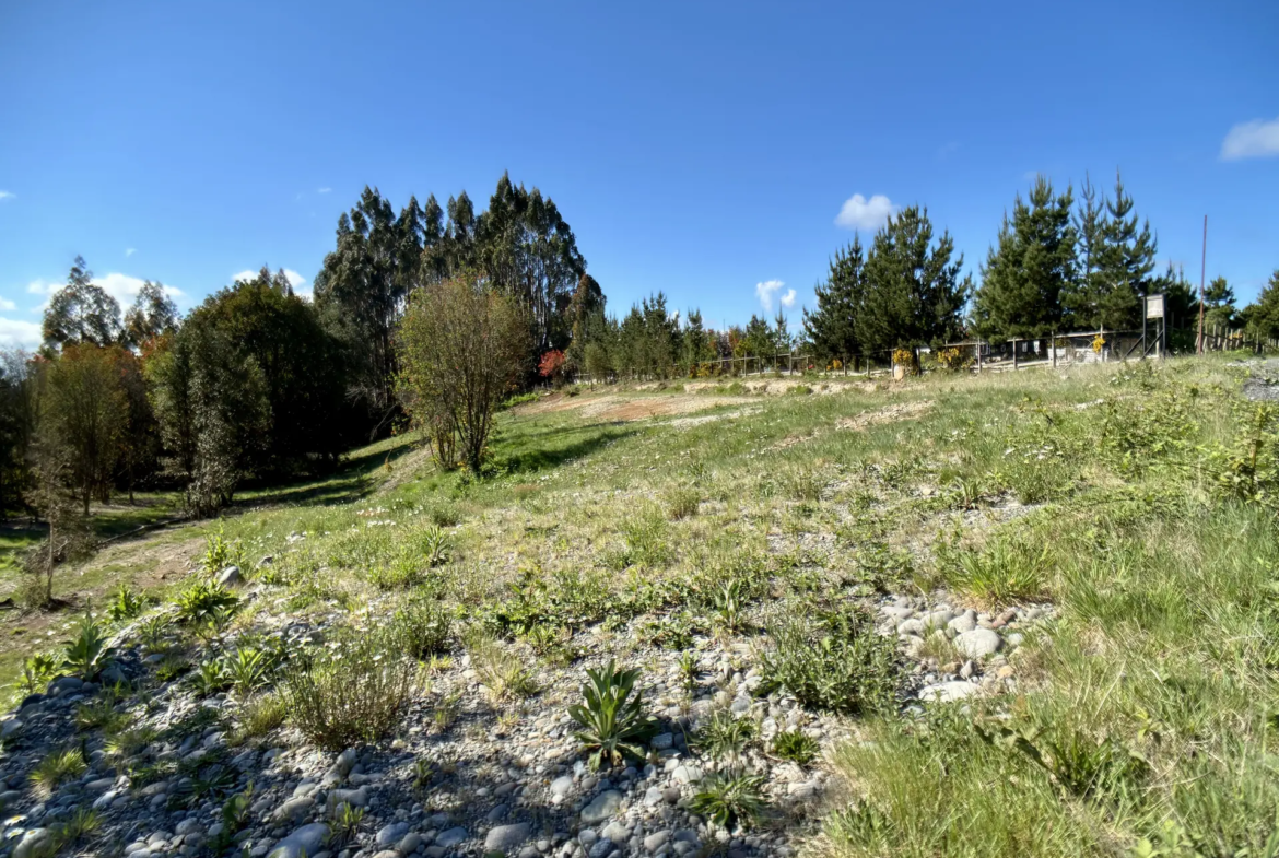 Parcela limpia de 5.225 m² junto al acceso de Los Troncos Milenarios, La Vara, Puerto Montt – foto 7