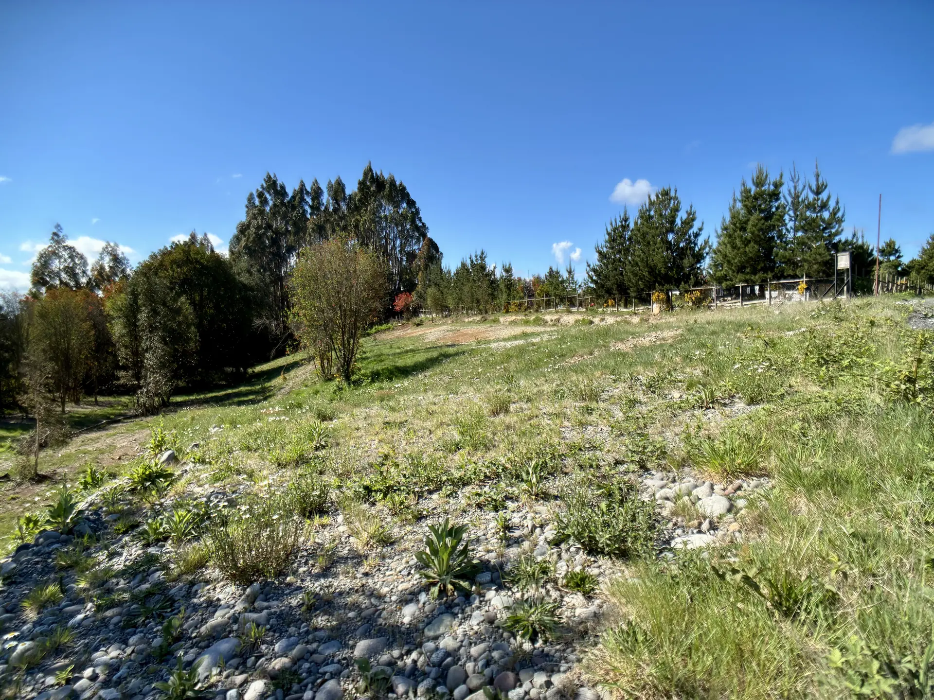 img-0208-1920 Parcela limpia de 5.225 m² junto al acceso de Los Troncos Milenarios, La Vara, Puerto Montt – foto 7
