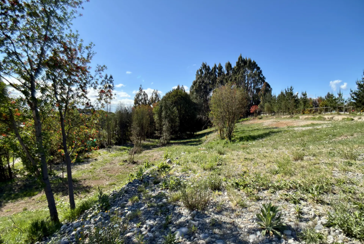 Parcela limpia de 5.225 m² junto al acceso de Los Troncos Milenarios, La Vara, Puerto Montt – foto 10