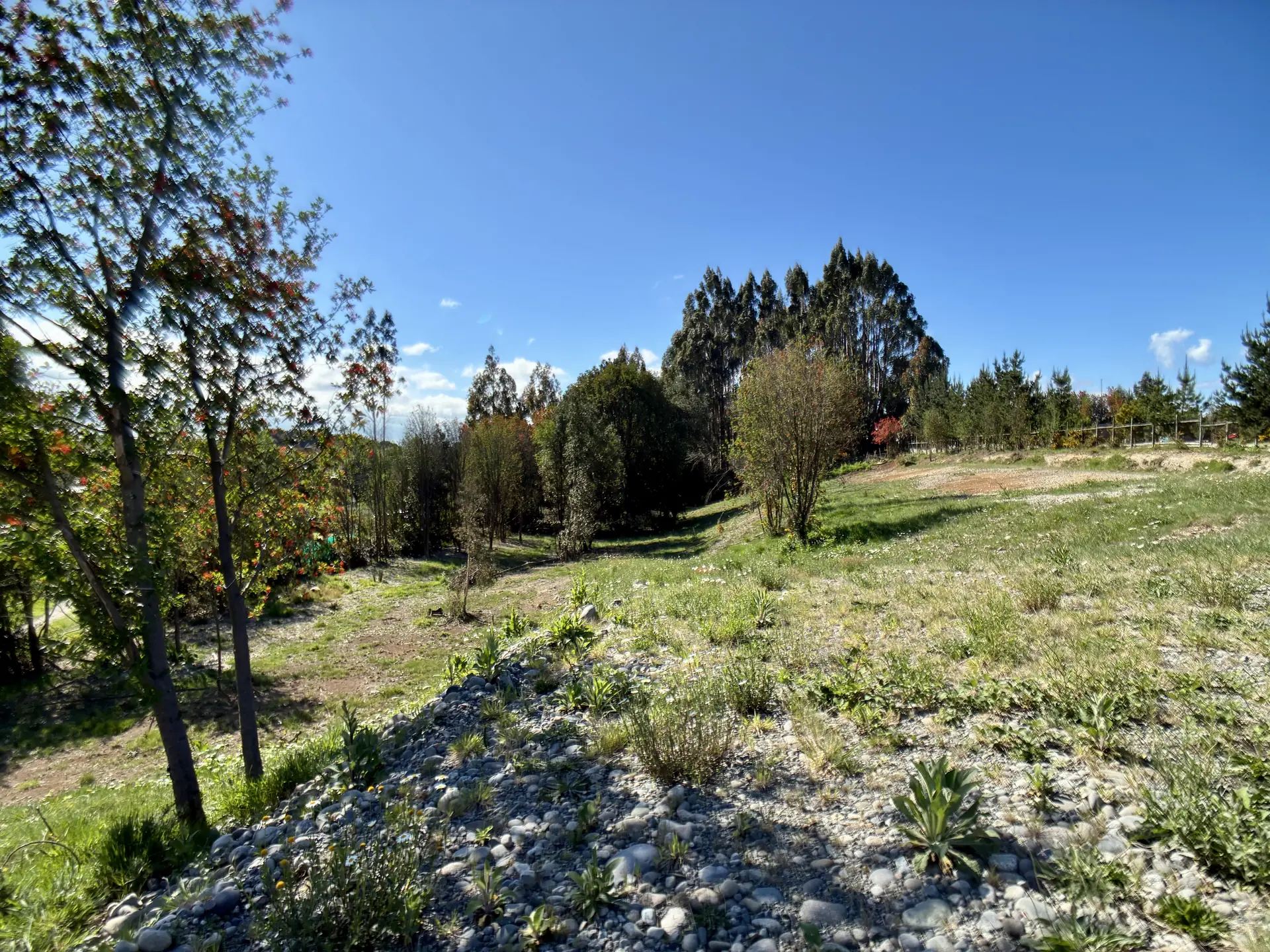 img-0209-1920 Parcela limpia de 5.225 m² junto al acceso de Los Troncos Milenarios, La Vara, Puerto Montt – foto 10