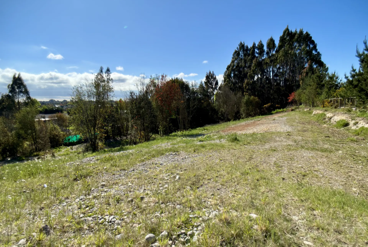 Parcela limpia de 5.225 m² junto al acceso de Los Troncos Milenarios, La Vara, Puerto Montt – foto 8