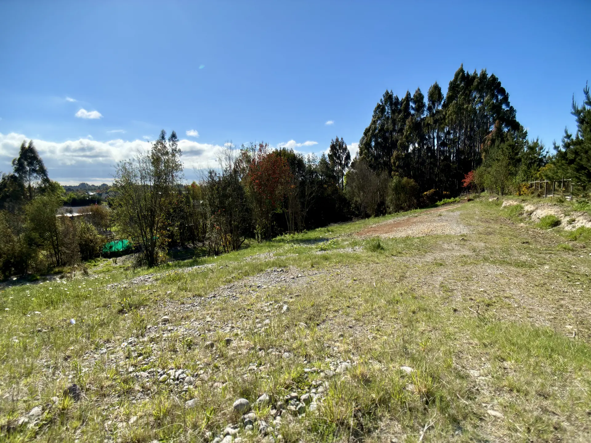 img-0211-1920 Parcela limpia de 5.225 m² junto al acceso de Los Troncos Milenarios, La Vara, Puerto Montt – foto 8