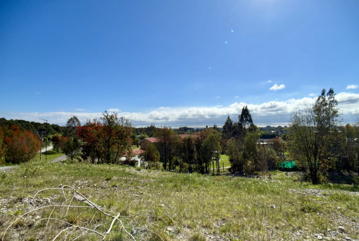 Parcela limpia de 5.225 m² junto al acceso de Los Troncos Milenarios, La Vara, Puerto Montt – foto 2