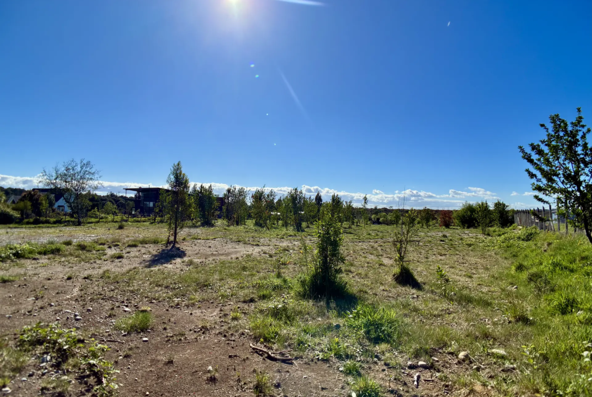 Parcela de 5.000 m² con vista a los volcanes en Los Troncos Milenarios, La Vara, Puerto Montt – foto 9