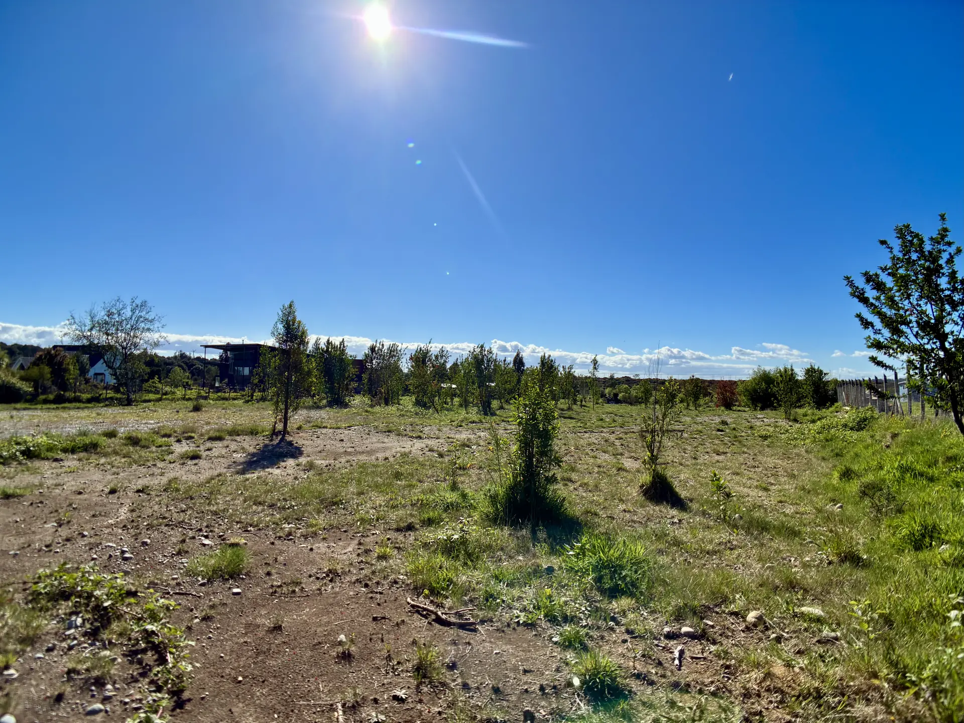 img-0307-1920 Parcela de 5.000 m² con vista a los volcanes en Los Troncos Milenarios, La Vara, Puerto Montt – foto 9