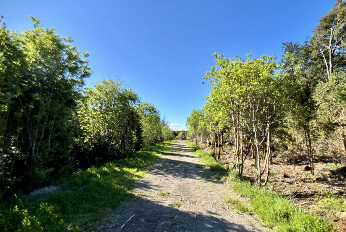 Parcela de 5.435 m² con bosque nativo en Los Troncos Milenarios, La Vara, Puerto Montt – foto 3