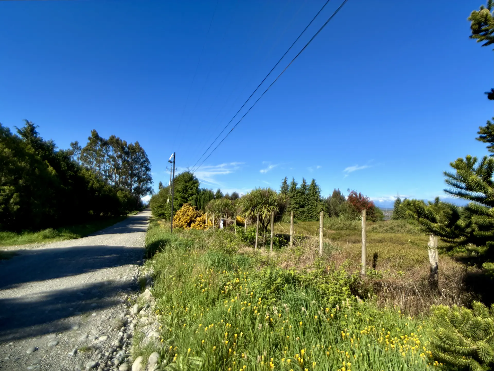 img-0317-1920 Parcela de 5.310 m² con vista al Calbuco en la primera etapa de Los Troncos Milenarios, Puerto Montt – foto 2