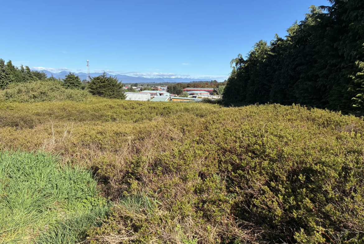 Parcela de 5.310 m² con vista al Calbuco en la primera etapa de Los Troncos Milenarios, Puerto Montt – foto 3