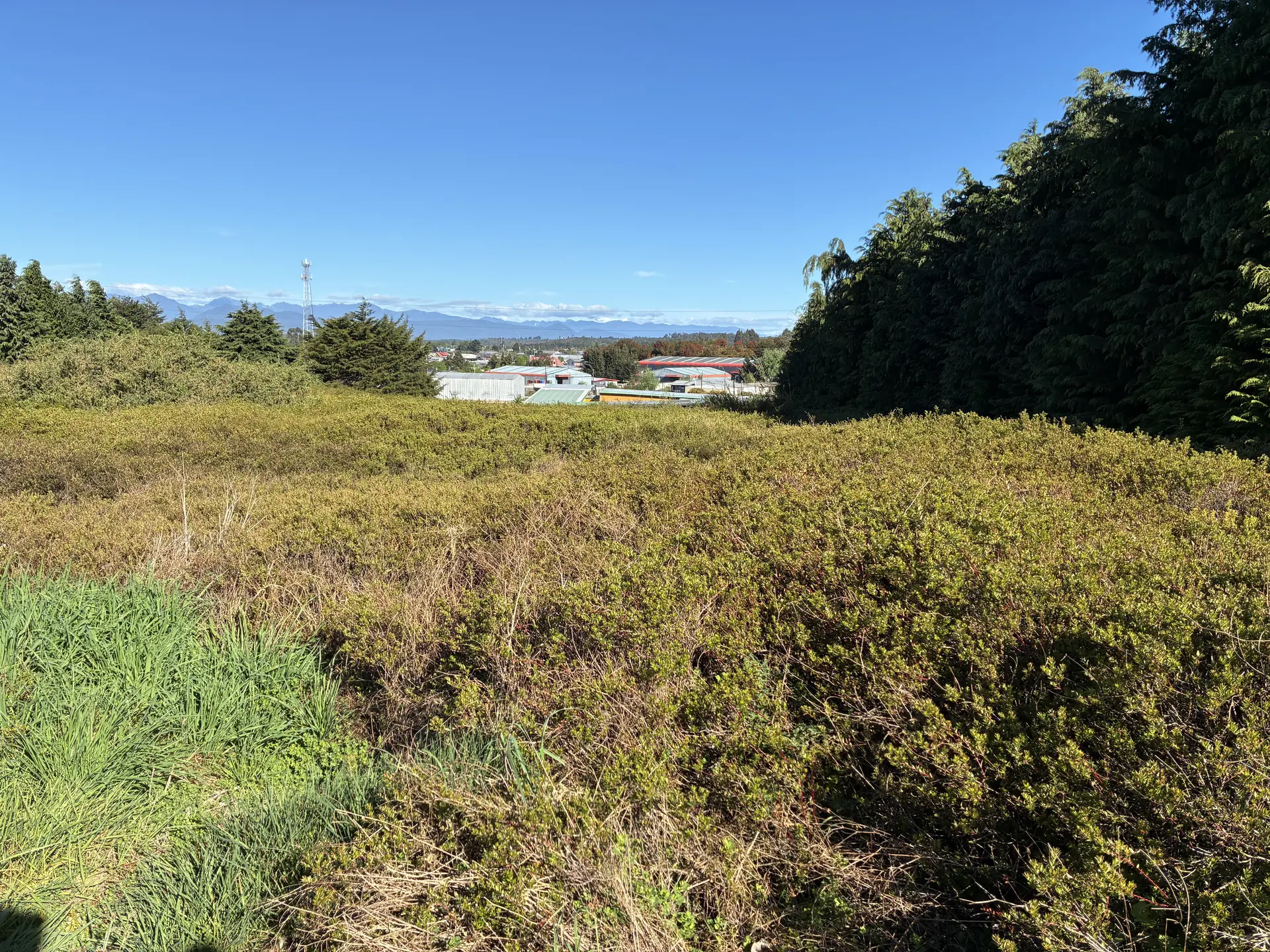img-0321-1920 Parcela de 5.310 m² con vista al Calbuco en la primera etapa de Los Troncos Milenarios, Puerto Montt – foto 3