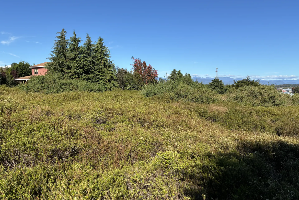 Parcela de 5.310 m² con vista al Calbuco en la primera etapa de Los Troncos Milenarios, Puerto Montt – foto 6