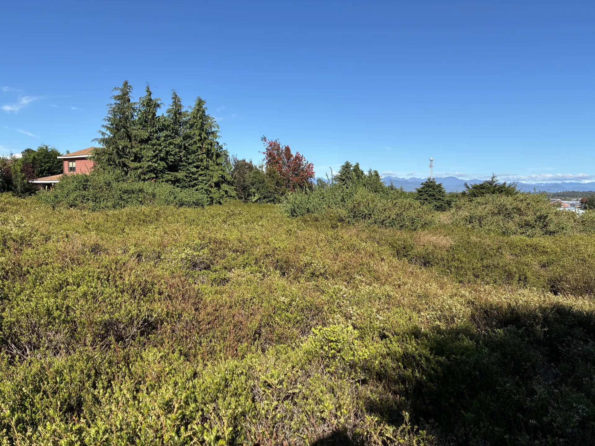 img-0322-1920 Parcela de 5.310 m² con vista al Calbuco en la primera etapa de Los Troncos Milenarios, Puerto Montt – foto 6