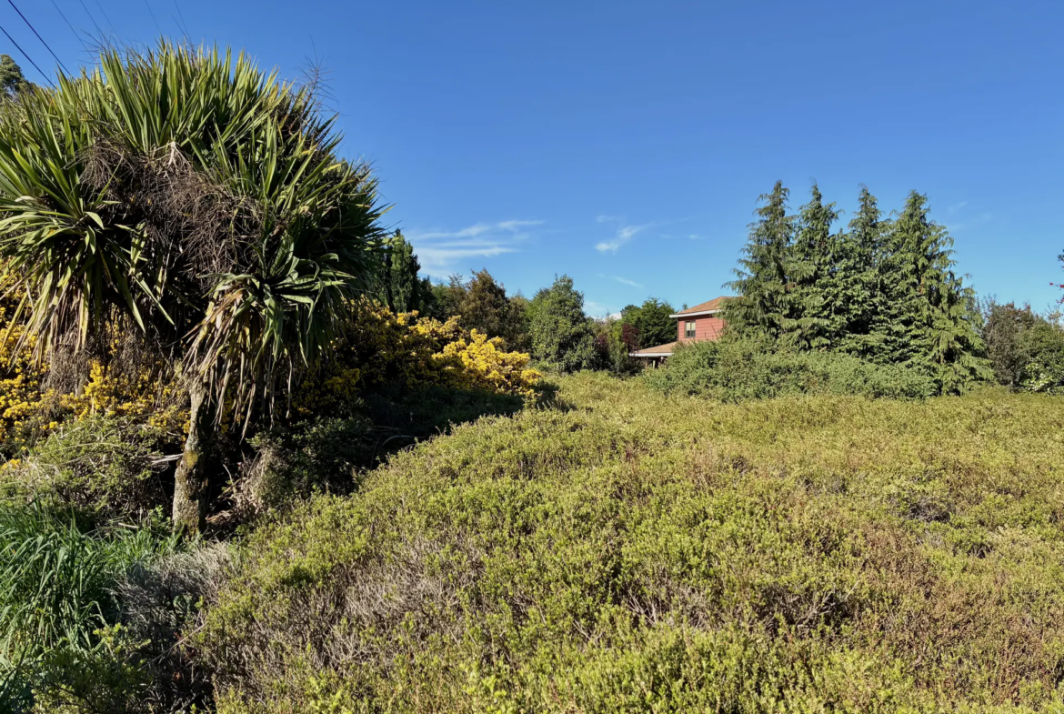 Parcela de 5.310 m² con vista al Calbuco en la primera etapa de Los Troncos Milenarios, Puerto Montt – foto 1
