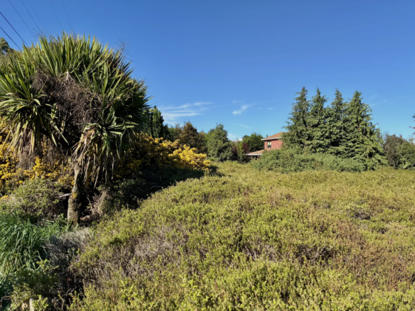Parcela de 5.310 m² con vista al Calbuco en la primera etapa de Los Troncos Milenarios, Puerto Montt – foto 1