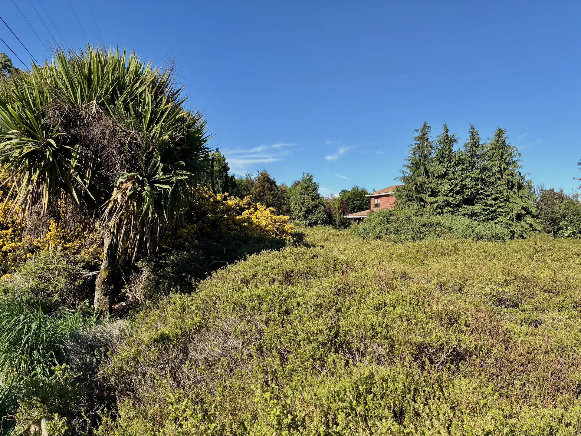 img-0323-1920 Parcela de 5.310 m² con vista al Calbuco en la primera etapa de Los Troncos Milenarios, Puerto Montt – foto 1